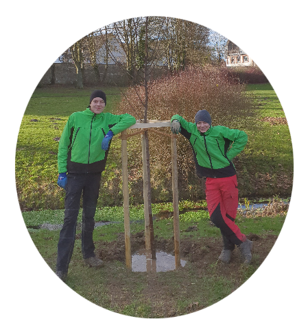 Baumpflanzung